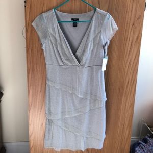 Shimmer Dress New With Tags